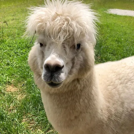 Дом отдыха House Ewa *