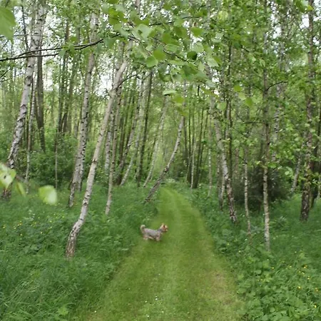 House Ewa Дом отдыха *