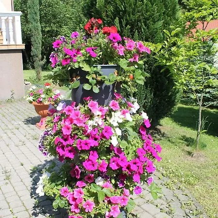 House Ewa Дом отдыха